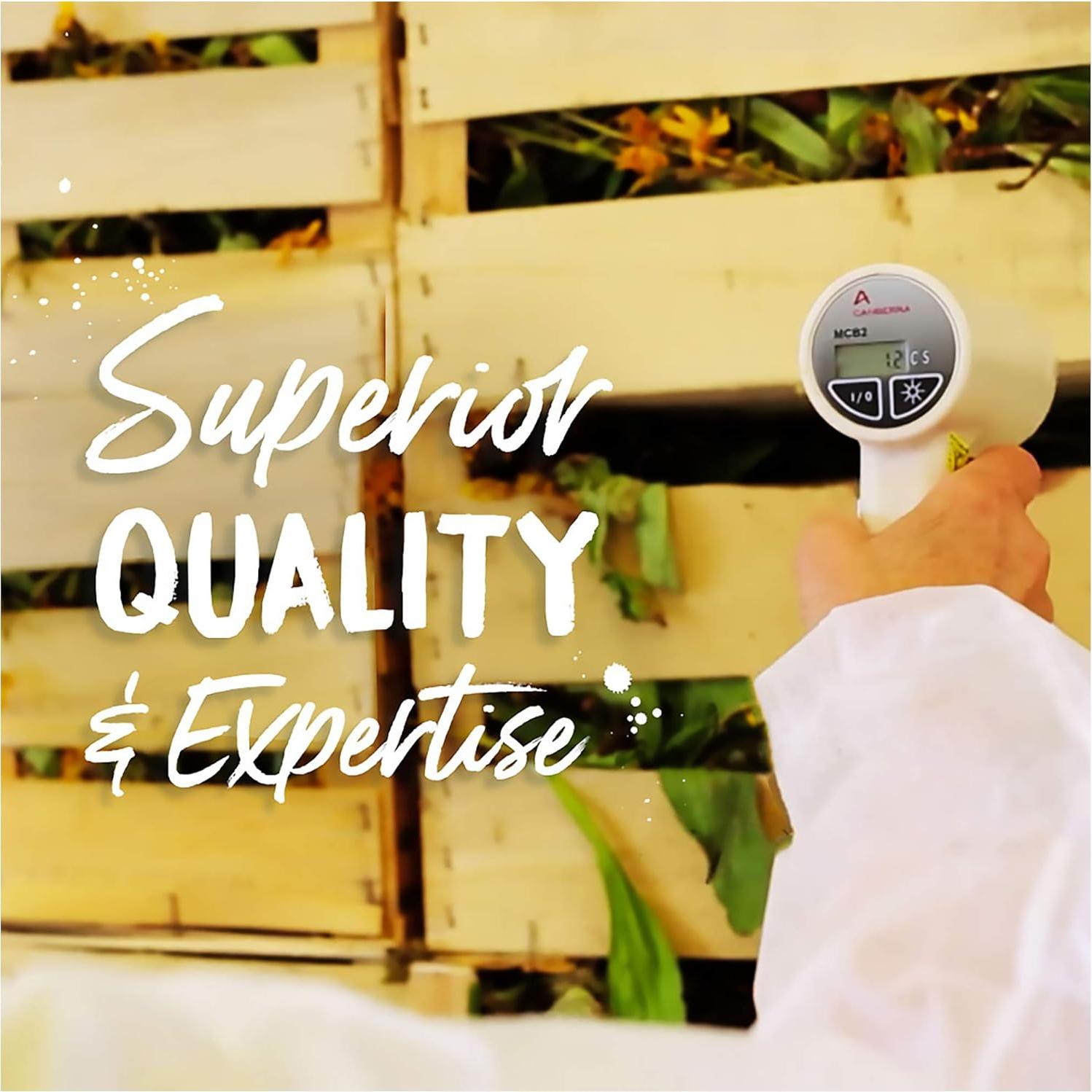 Boiron Arnica Montana 9C Homeopatía para Dolor Muscular - 3 Paquetes