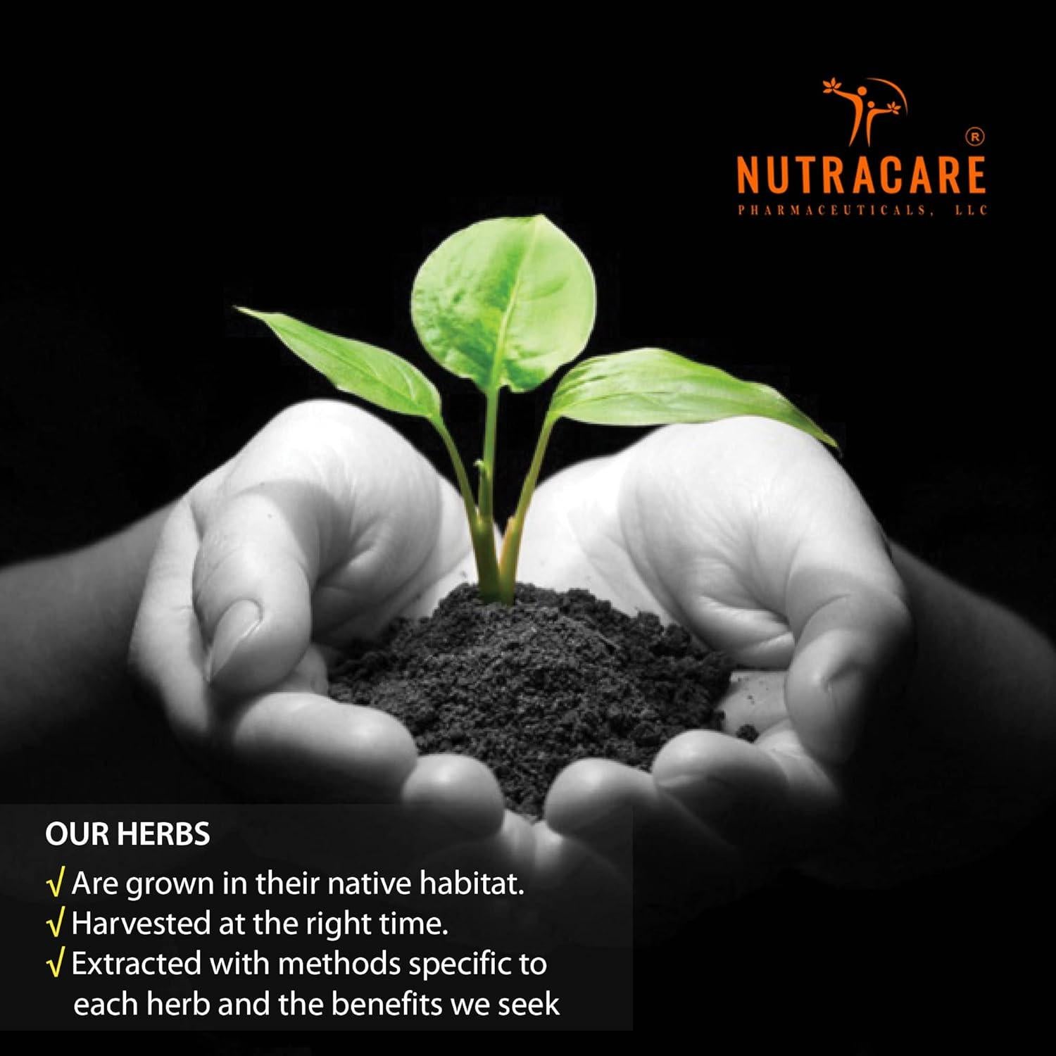 Arnica Montana 3X HPUS 59.15 ml - Medicina Homeopática Nutracare