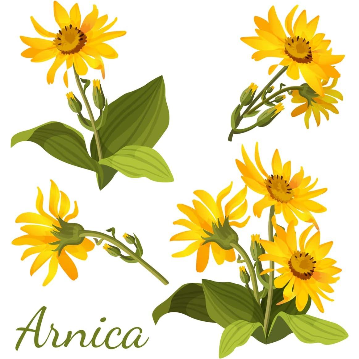 Bálsamo Muscular de Arnica 100% Natural - Alivio Rápido 100g