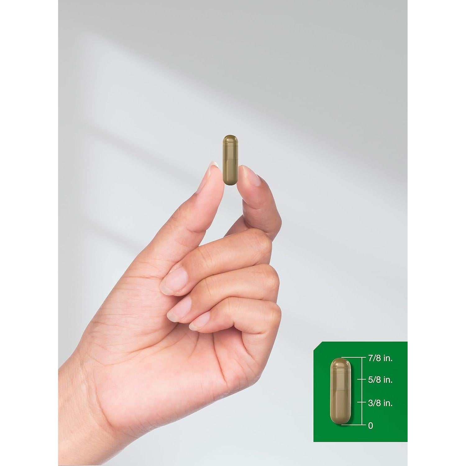 Cápsulas de Chanca Piedra Horbaach 500mg 150 Unidades Suplemento Herbal