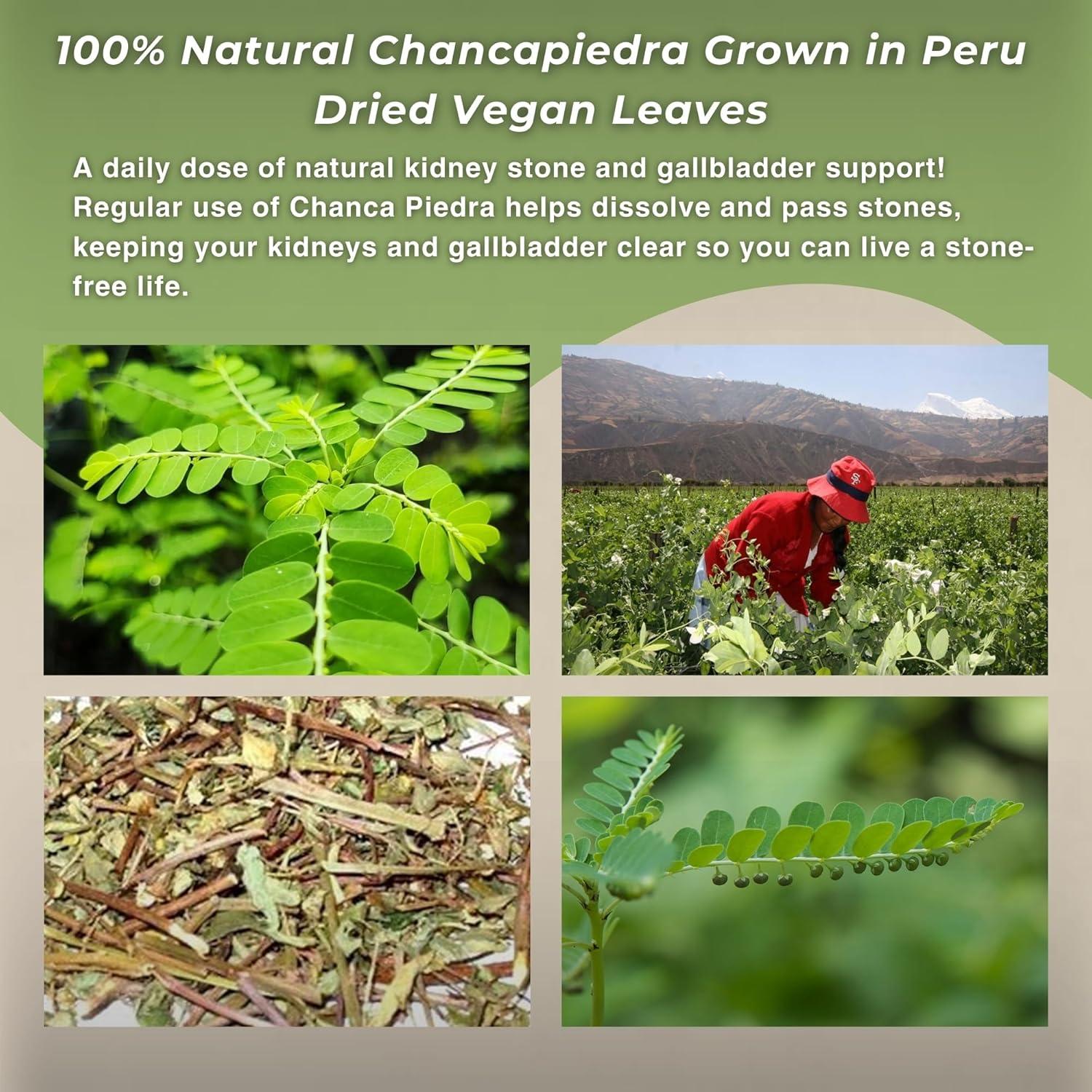 Té Herbal Chanca Piedra Hanan 40g - Rompepiedra Natural