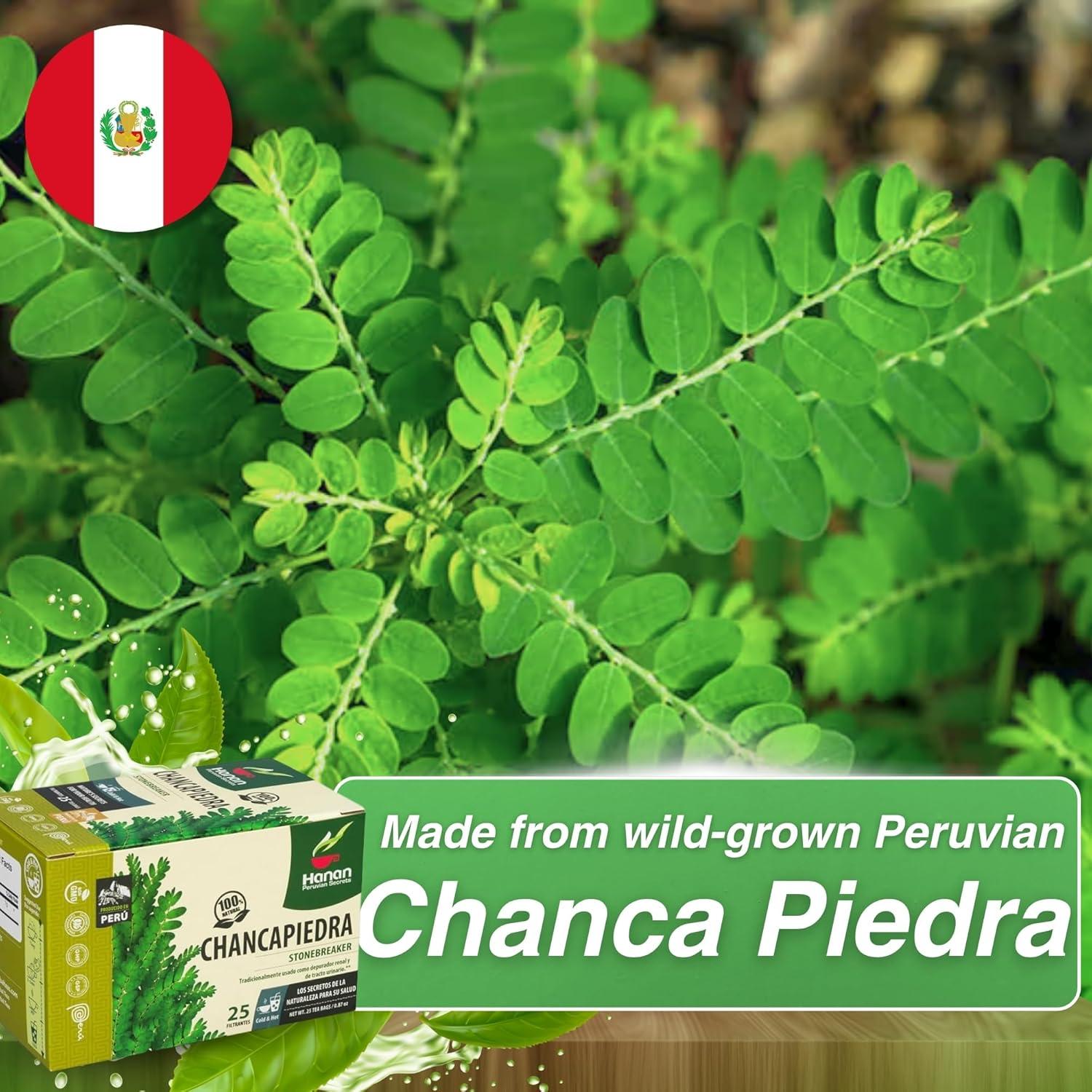 Té de Chanca Piedra Hanan - 50 Bolsitas 1000mg Natural