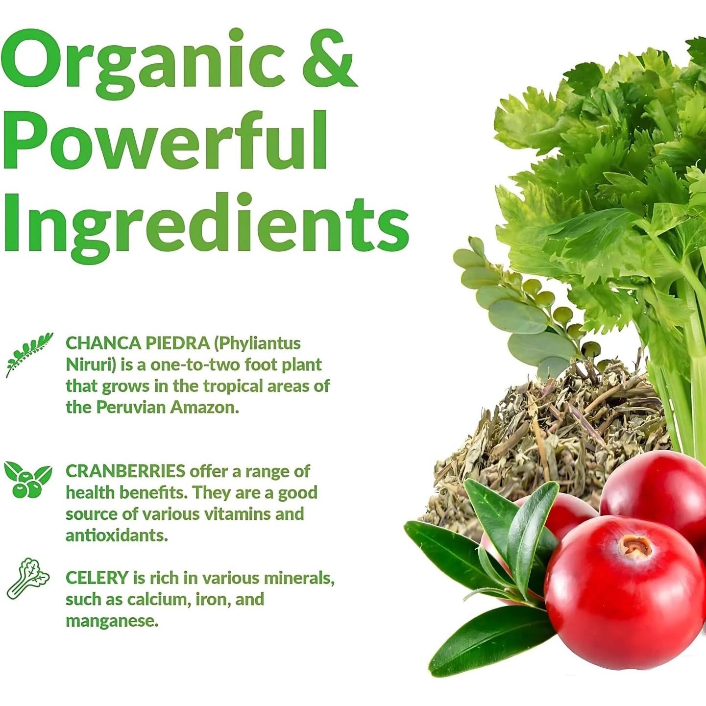 Chanca Piedra Logic Nutra 120 Tabletas 800 mg - Rompe Piedras Renales