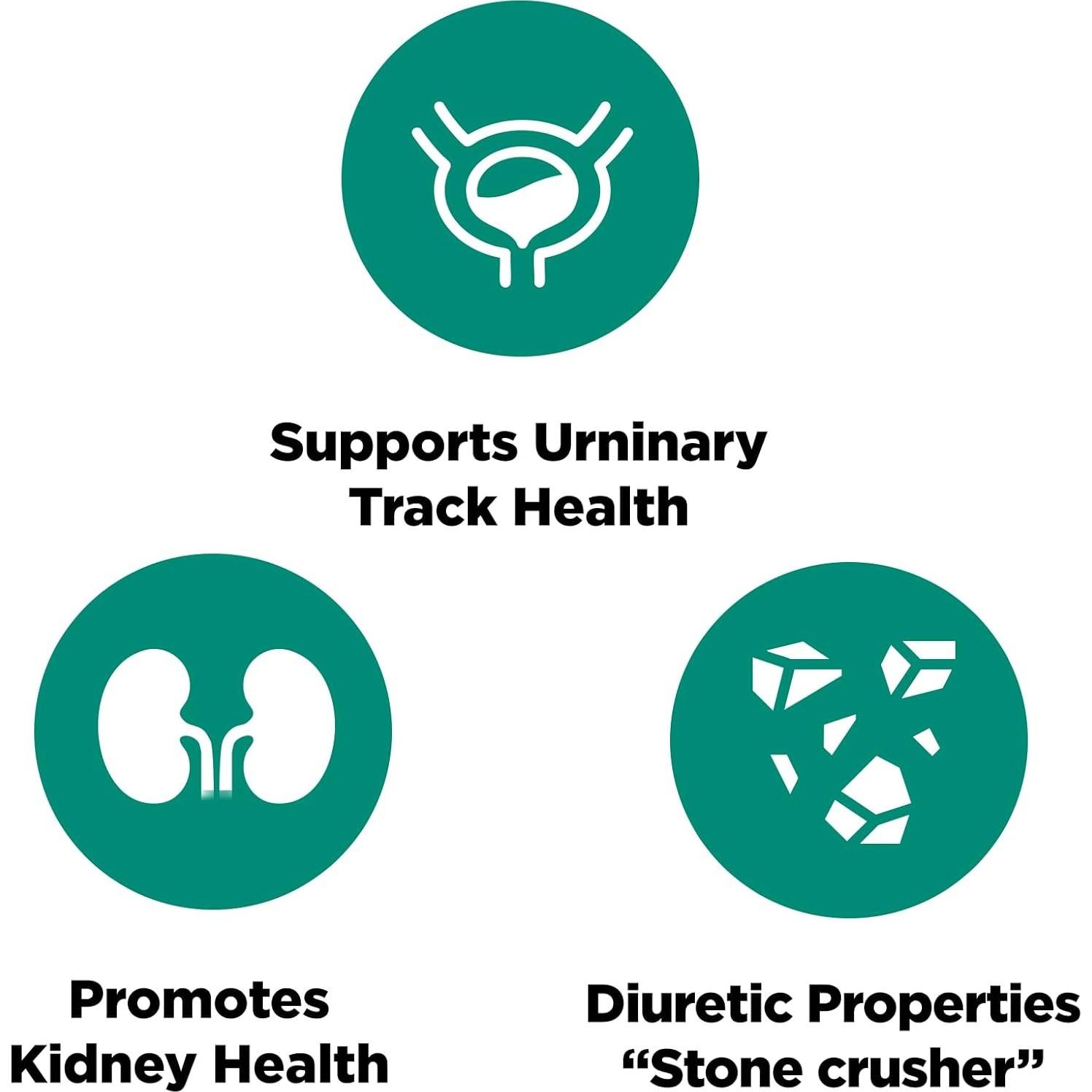 Chanca Piedra Platinum Naturals - 90 Cápsulas Vegetarianas