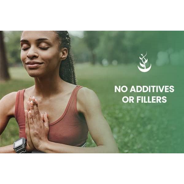 Cápsulas de Yerba Mate Ingredientes Originales Puros 365 Unidades