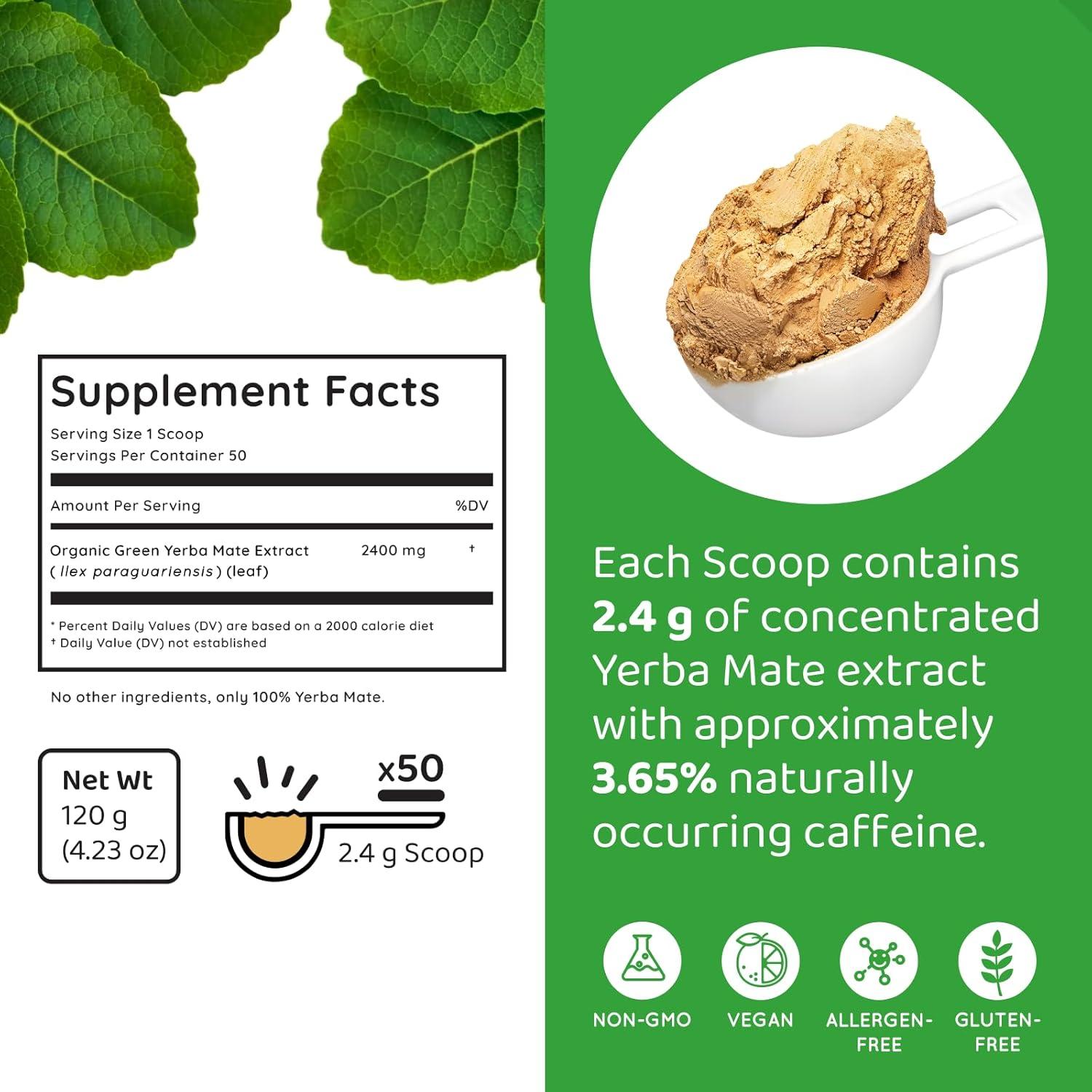 Yerba Mate Instantáneo Orgánico HOLYMARY 120g - Energía y Enfoque