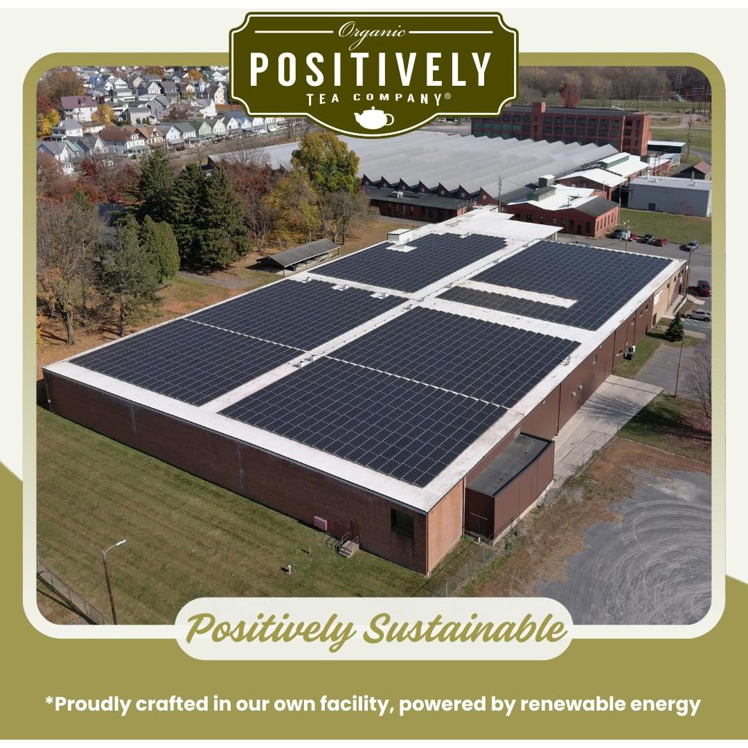 Té Orgánico Yerba Mate Positivamente - 20 Bolsitas