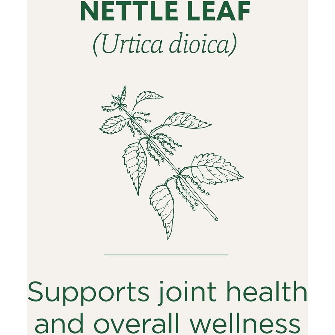 Té de Hierbas Orgánico Medicinales Tradicionales - Ortiga 16 Bolsitas