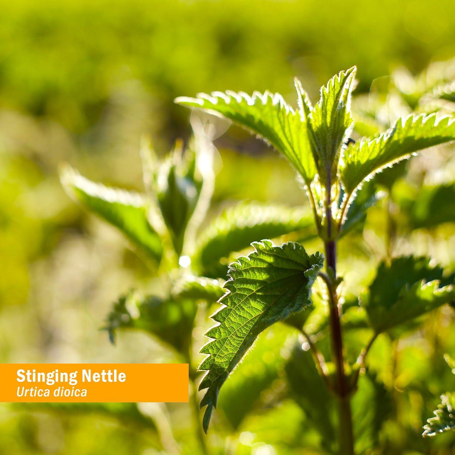 Extracto Líquido de Ortiga Herb Pharm 30 ml Orgánico