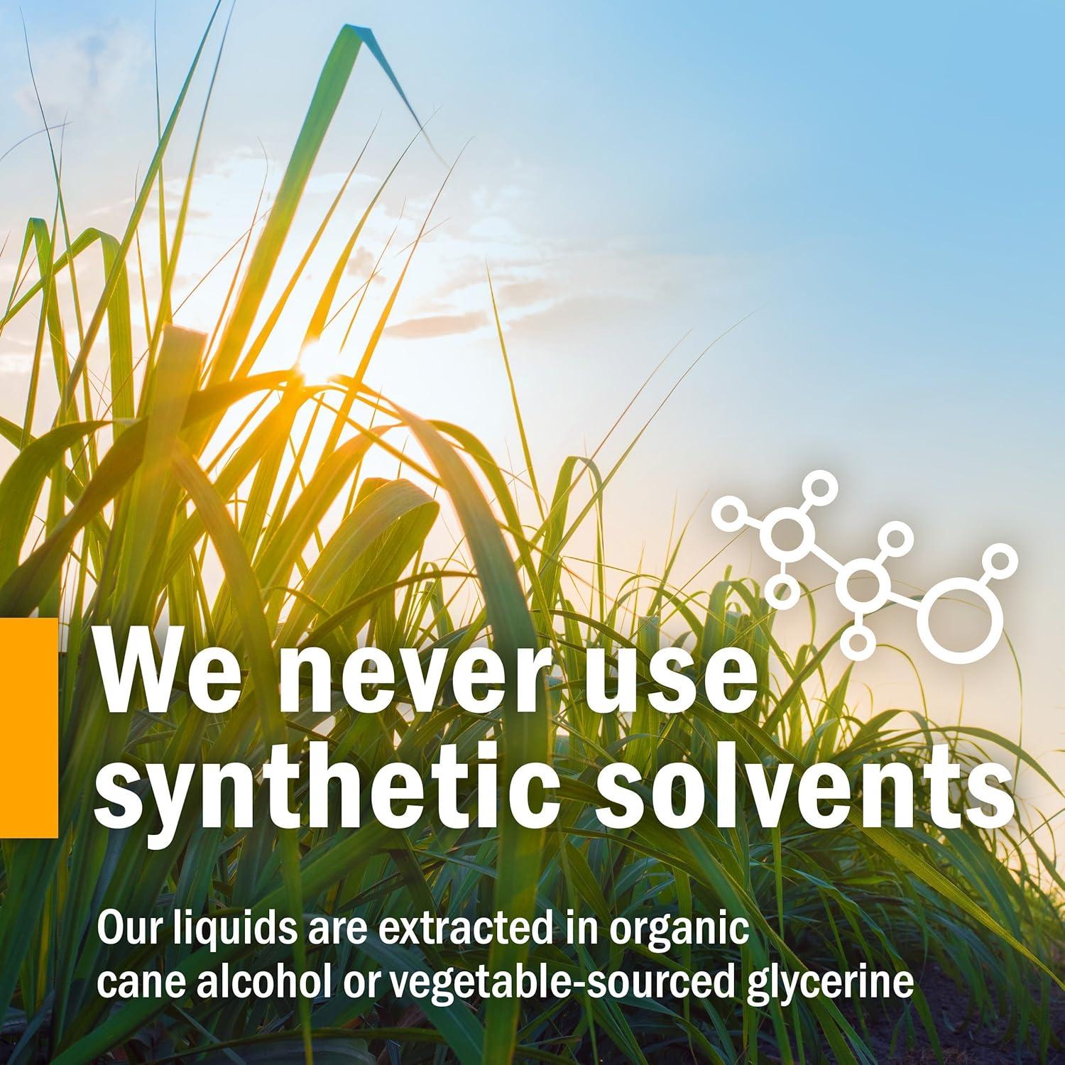 Extracto Líquido de Ortiga Herb Pharm 30 ml Orgánico