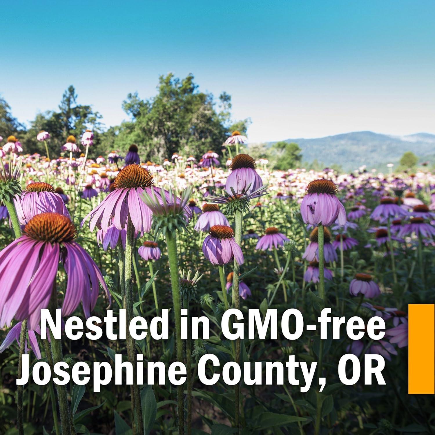 Extracto Líquido de Ortiga Herb Pharm 30 ml Orgánico