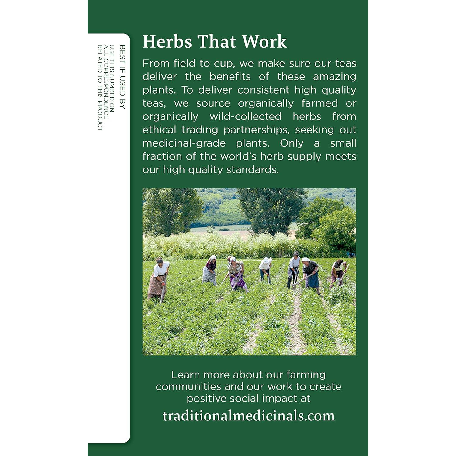 Té de hoja de ortiga orgánico Traditional Medicinals - 32 bolsas