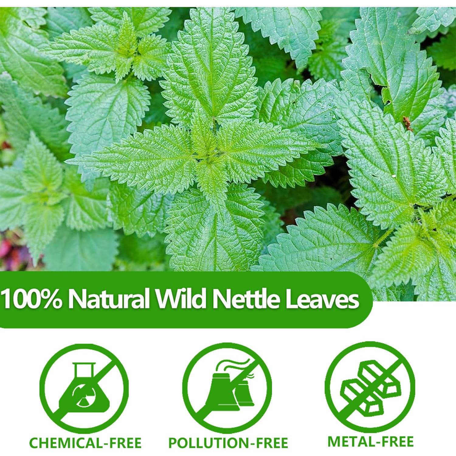 Té de hoja de ortiga picante Premium YILINSHA 100 bolsas