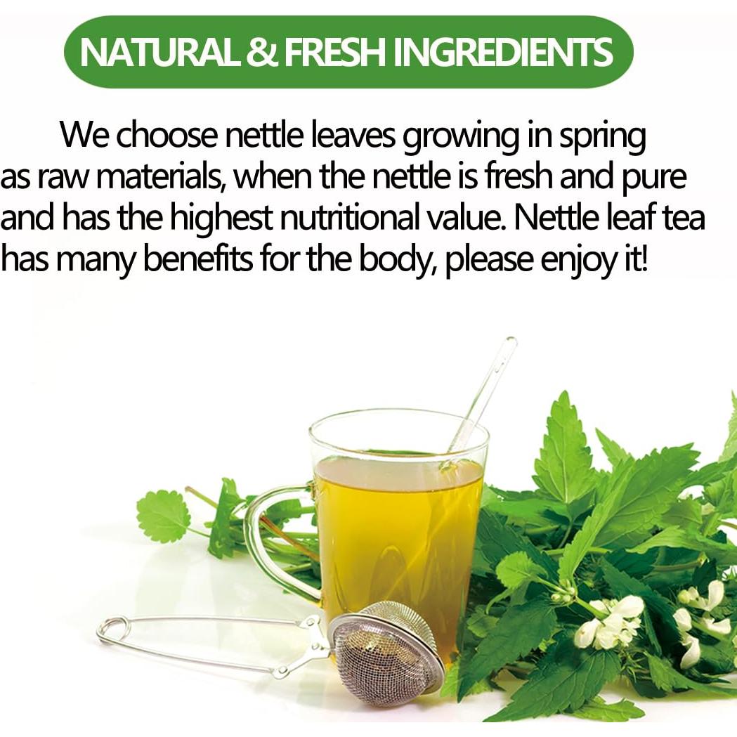 Té de hoja de ortiga picante Premium YILINSHA 100 bolsas