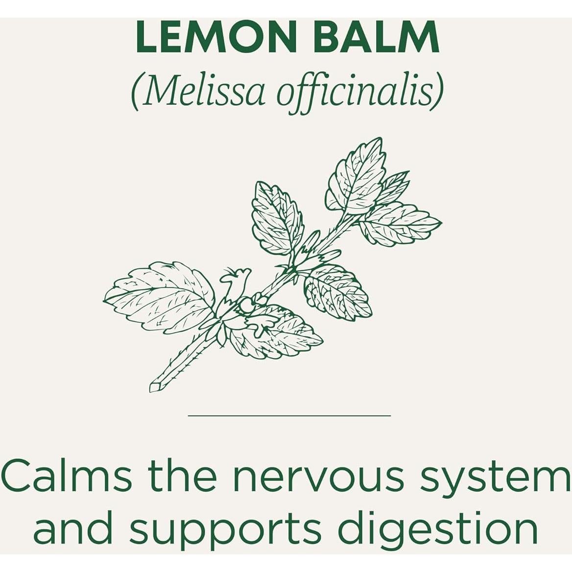 Té de Hierbas de Melisa Orgánica Traditional Medicinals - 16 Bolsitas