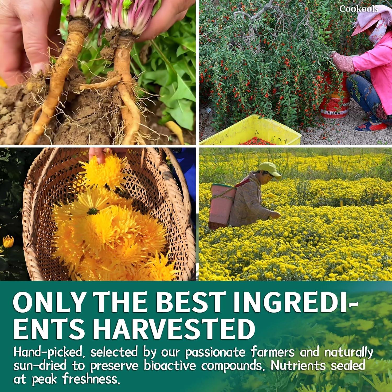 Té Detox Natural Cookools 20 Unidades Diente de León y Goji