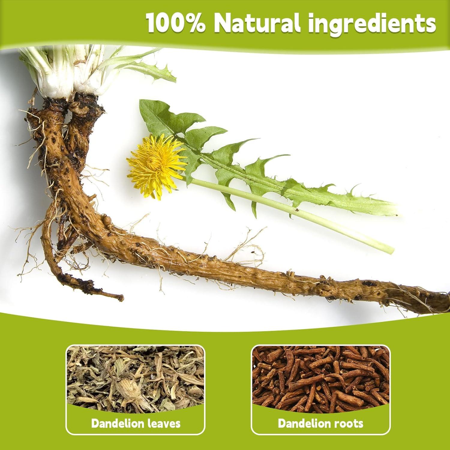 Té de Diente de León 100% Puro Genérico - 60 Bolsitas