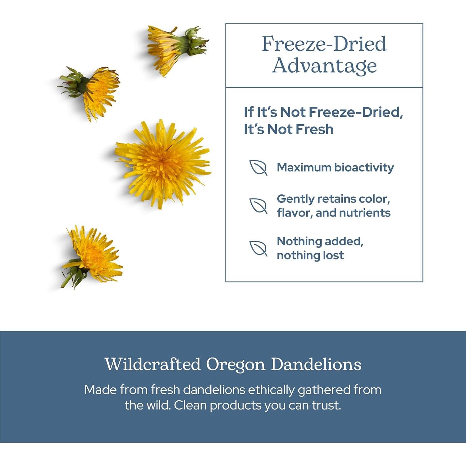 Suplemento Orgánico Diente de León Crudo Eclectic 90 Cápsulas