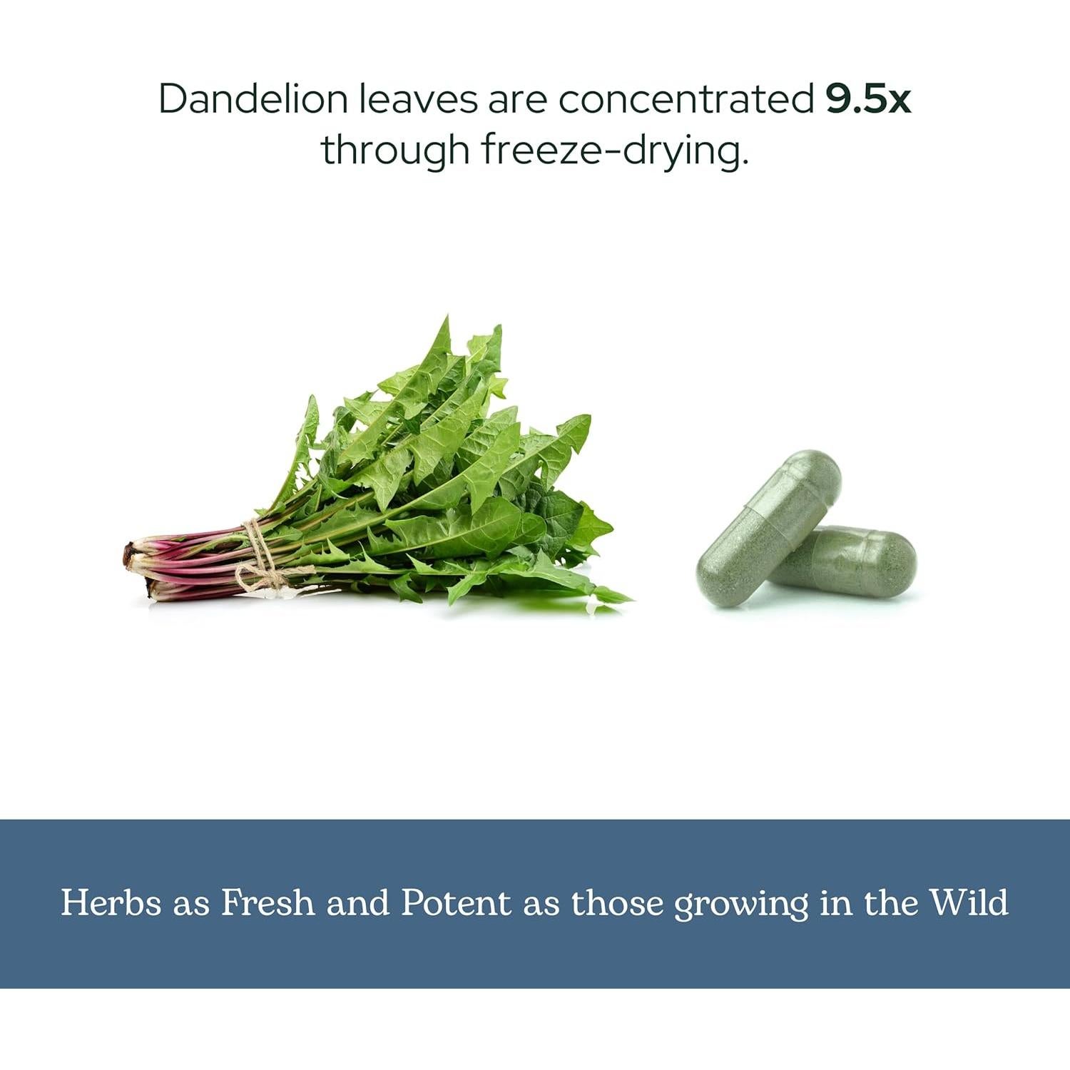 Suplemento Orgánico Diente de León Crudo Eclectic 90 Cápsulas