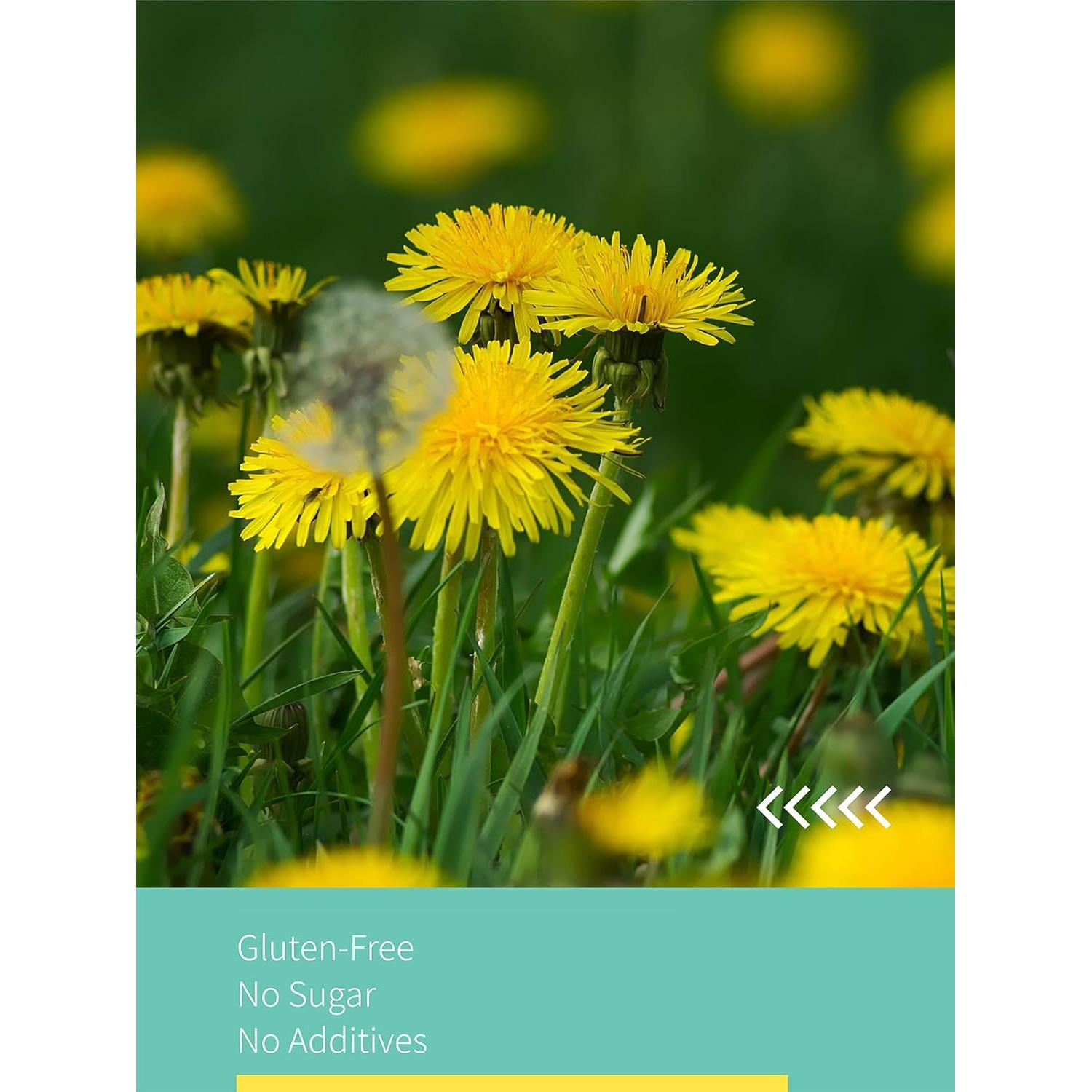 Bolsas de Té de Raíz de Diente de León Tostada HYNTMYT 120 Unidades