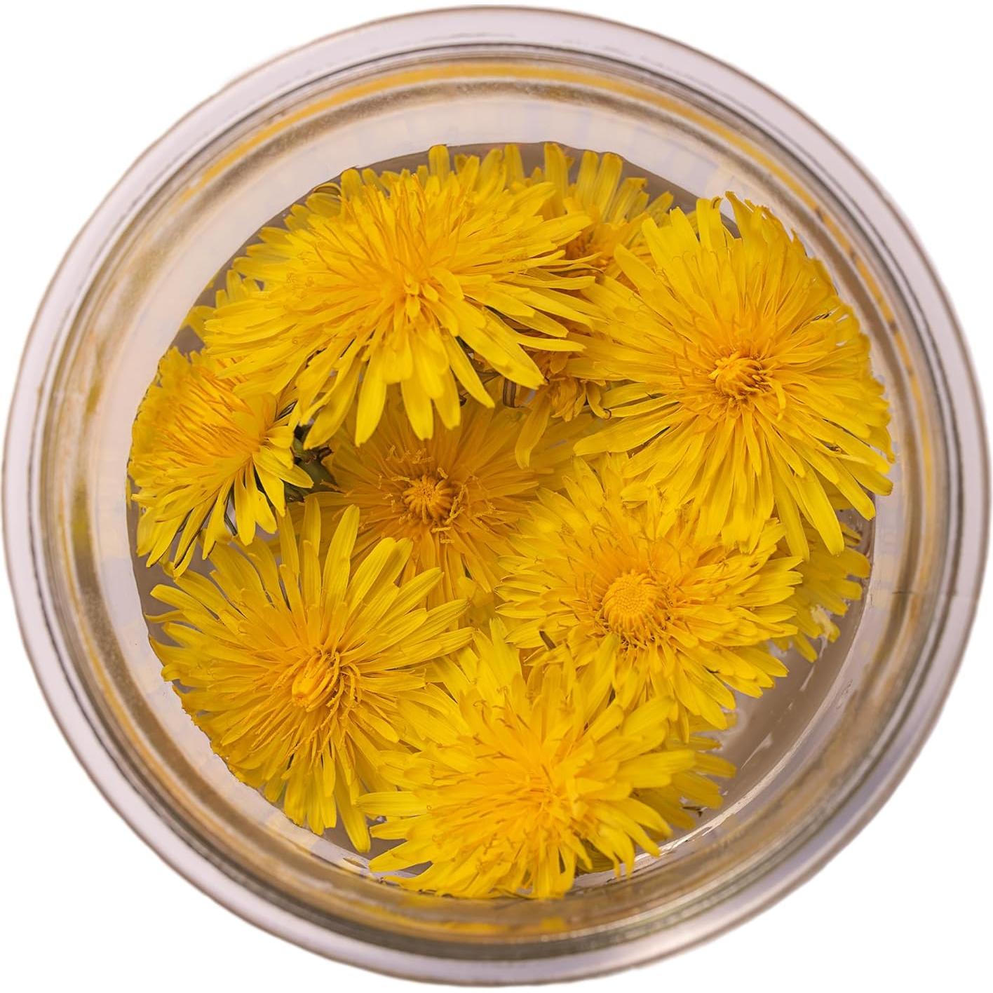 Hojas de Diente de León Jovvily 0.45 kg - Té Herbal Natural