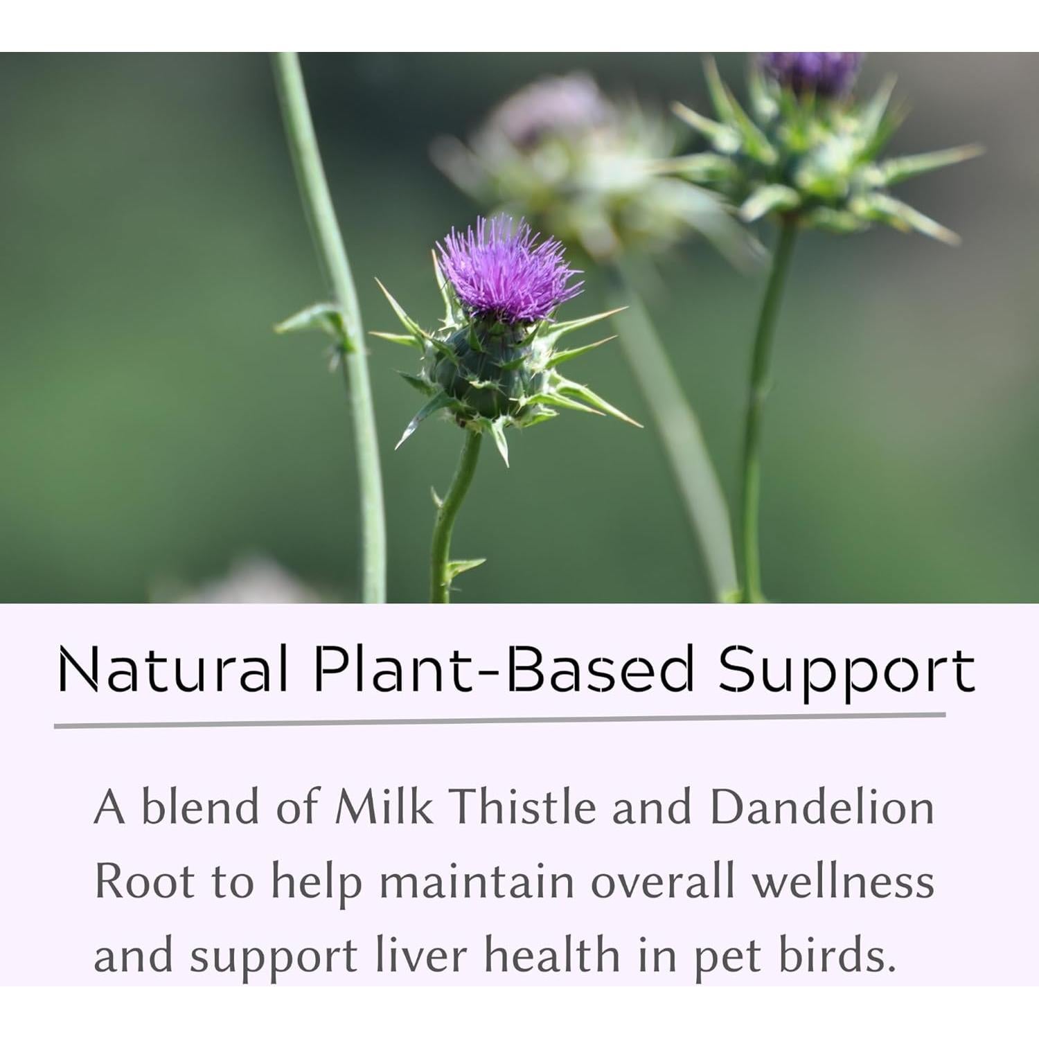 Suplemento Hepático para Aves Deyl Cavier - Cardo Mariano y Diente de León, 200 Porciones