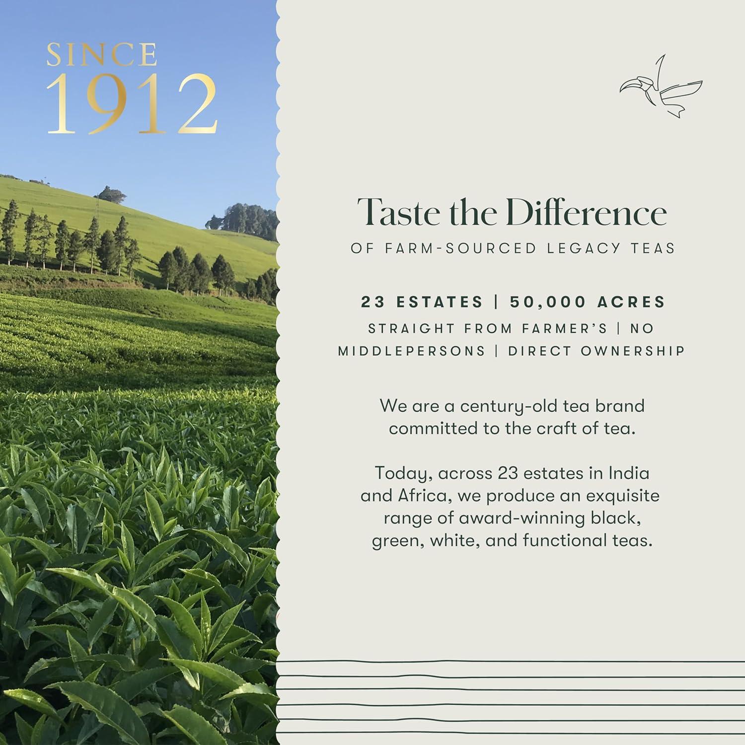 Té de Diente de León Orgánico Luxmi - 50 Bolsitas Sin Cafeína