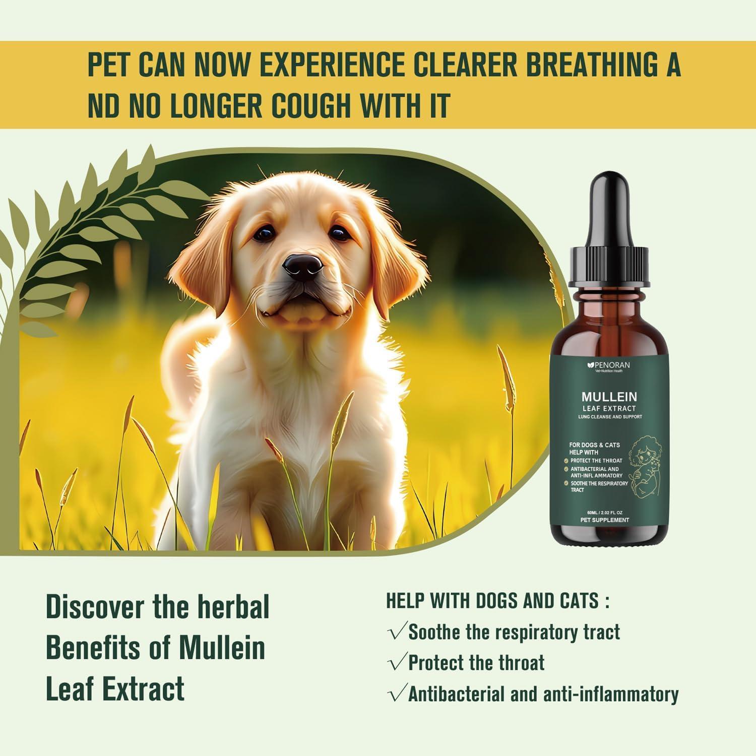 Extracto de hoja de Mullein Penoran 60ml - Soporte respiratorio para mascotas