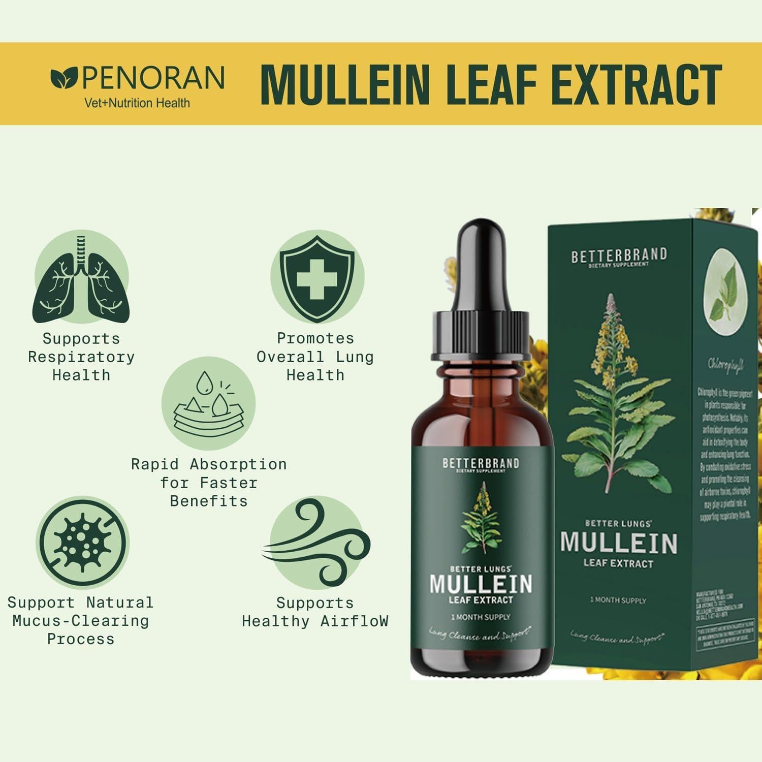 Extracto de hoja de Mullein Penoran 60ml - Soporte respiratorio para mascotas