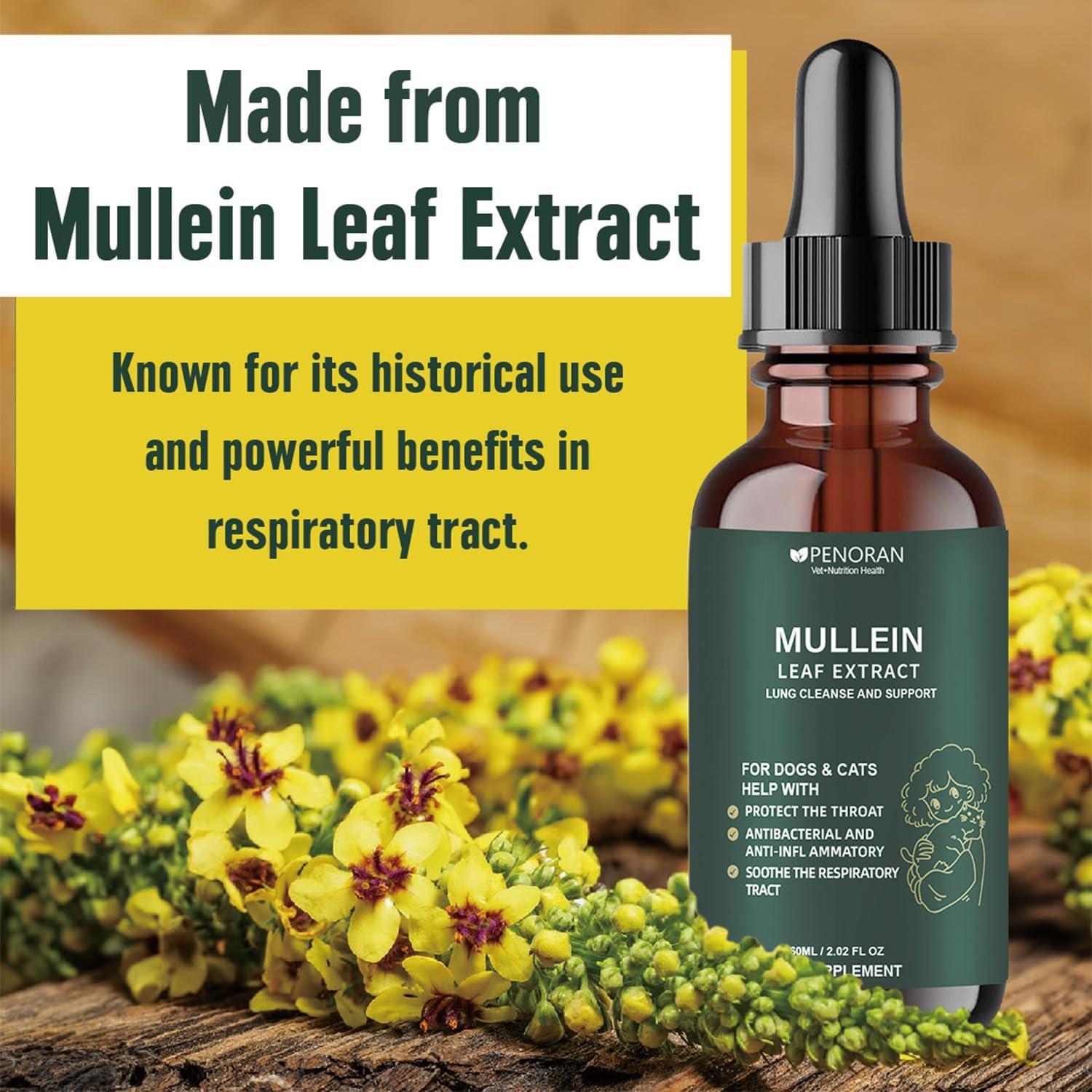 Extracto de hoja de Mullein Penoran 60ml - Soporte respiratorio para mascotas