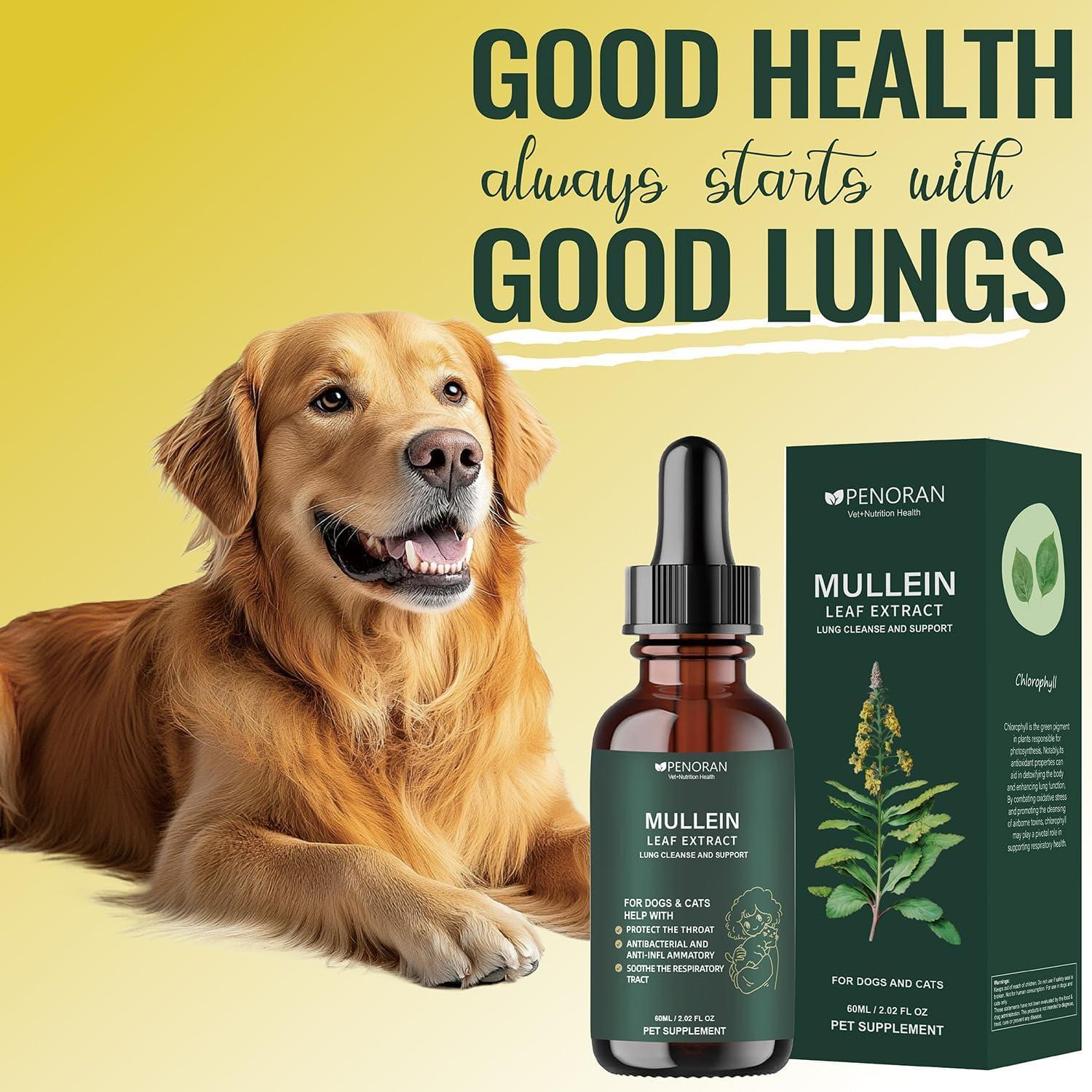 Extracto de hoja de Mullein Penoran 60ml - Soporte respiratorio para mascotas