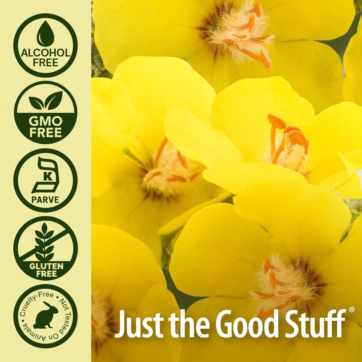 Extracto de Hoja de Mullein Nature's Answer 30 ml Sin Alcohol