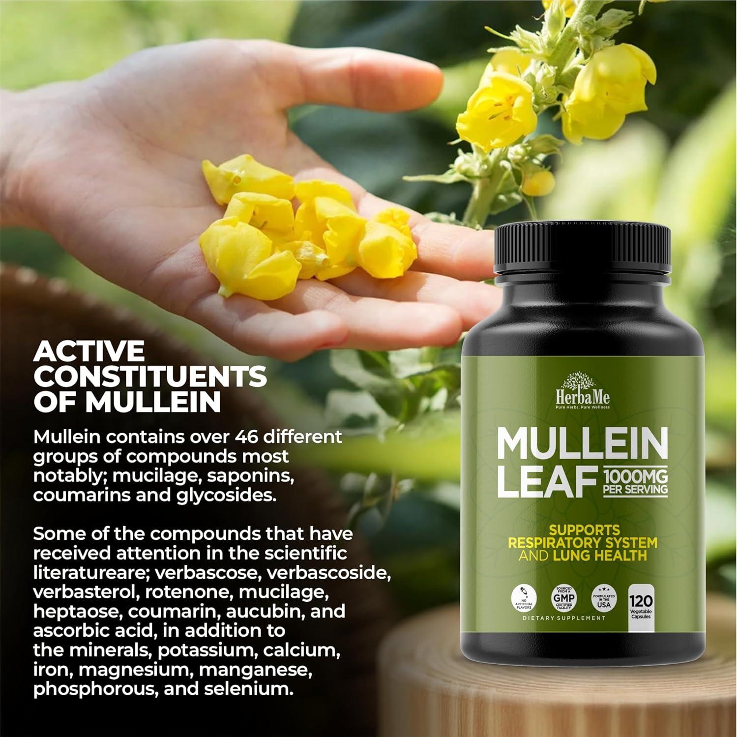 Hoja de Mullein 1000mg HerbaMe 120 Cápsulas Respiratorias