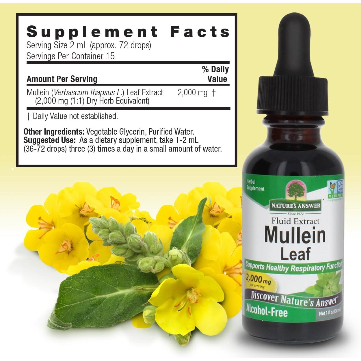 Hoja de Mullein Nature's Answer 2000mg 2 Paquetes 28.35g