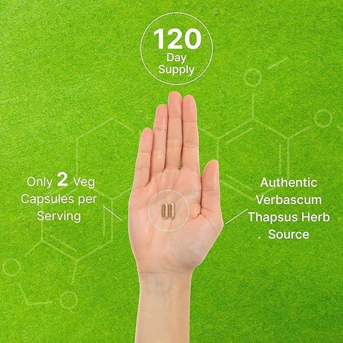 Extracto de Hoja de Mullein 20,000mg - 240 Cápsulas Veganas