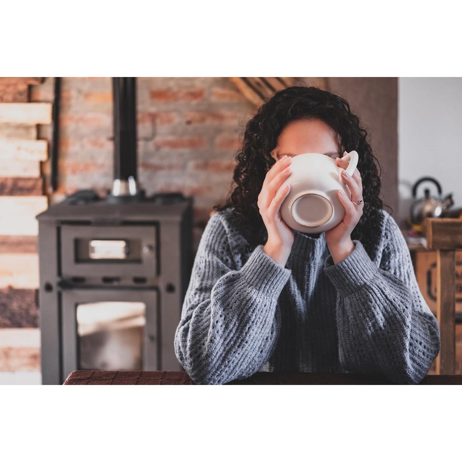 Yerba Mate en Bolsas Taragüí - 20 Bolsas de 60g