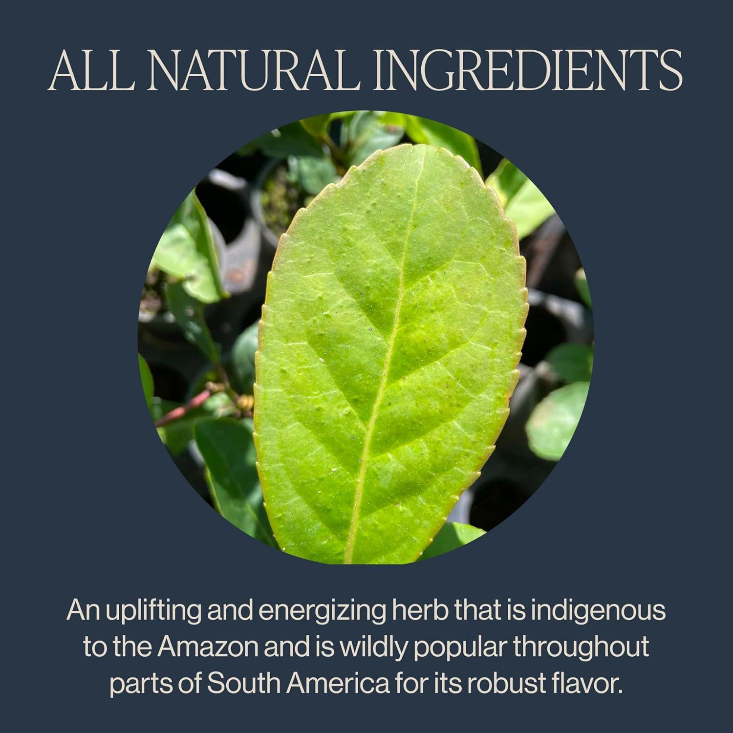 Té de Yerba Mate Orgánico Rishi - 453.6 g, Sin Azúcar, Hoja Suelta