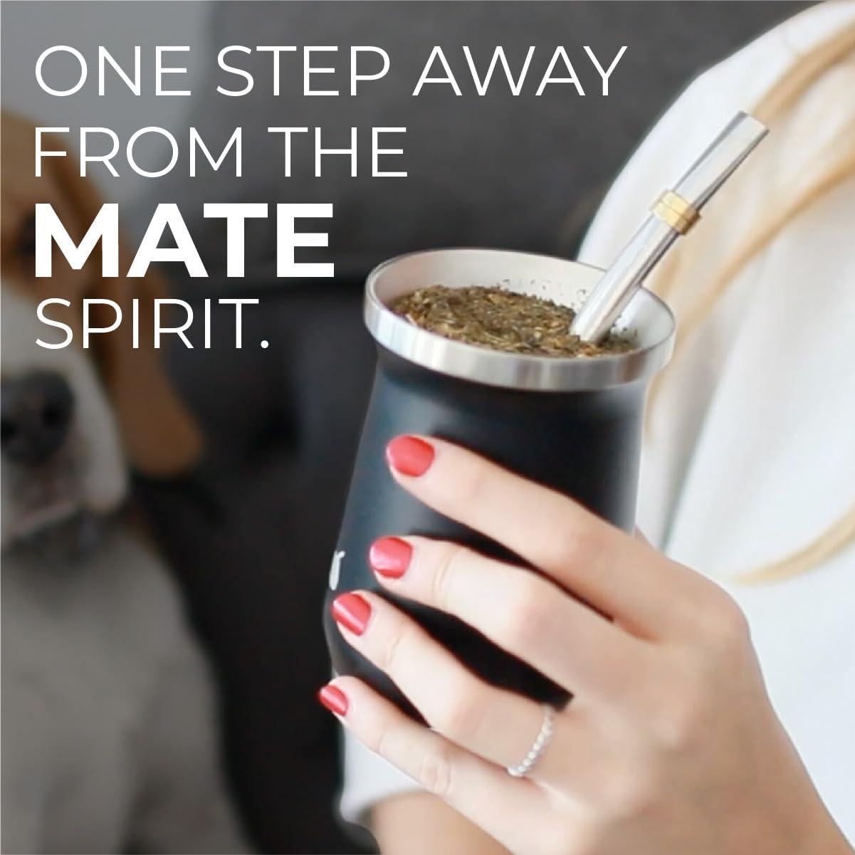 Juego de Taza de Yerba Mate GAUCHO-MARKET Negro Aislada