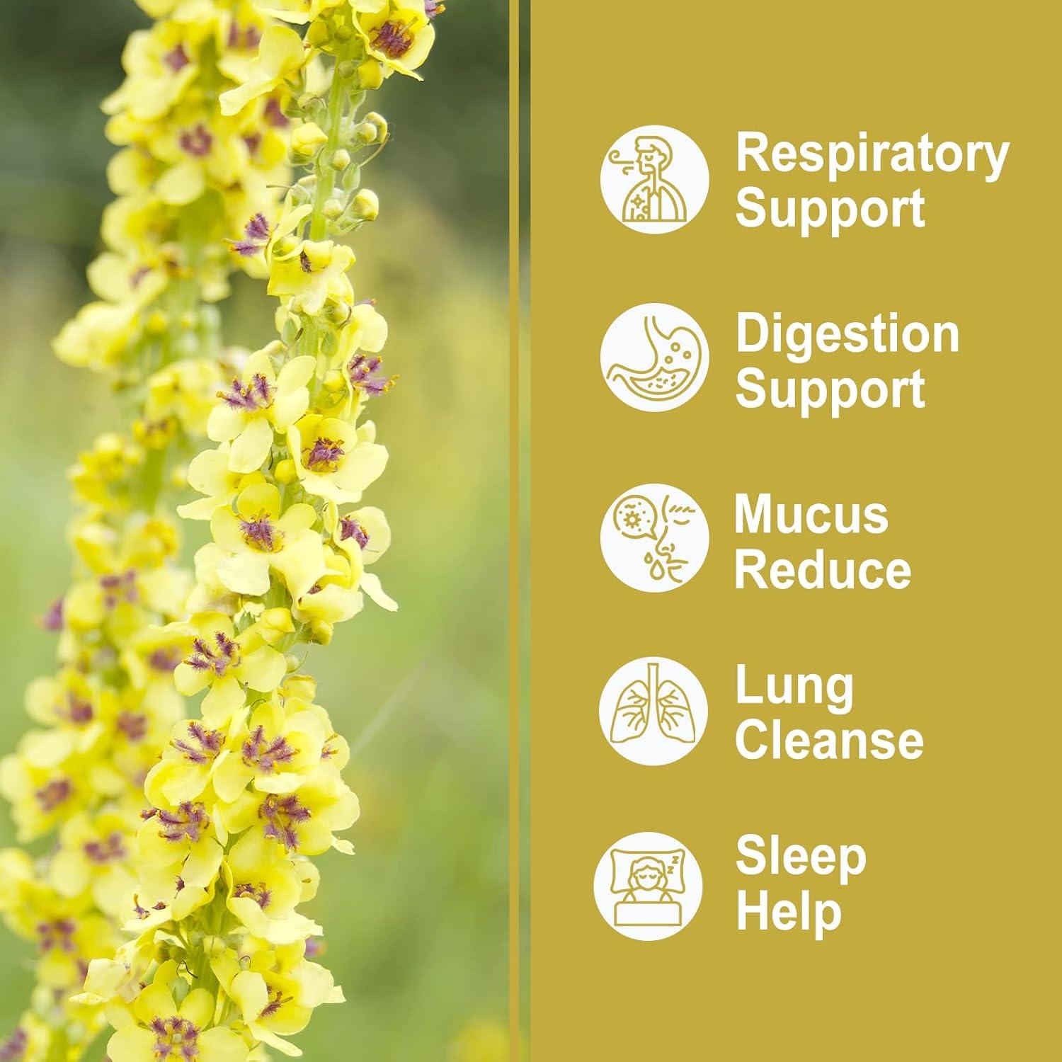 Té de Mullein Olvvla 30 Bolsitas 3g - 100% Natural Sin Cafeína