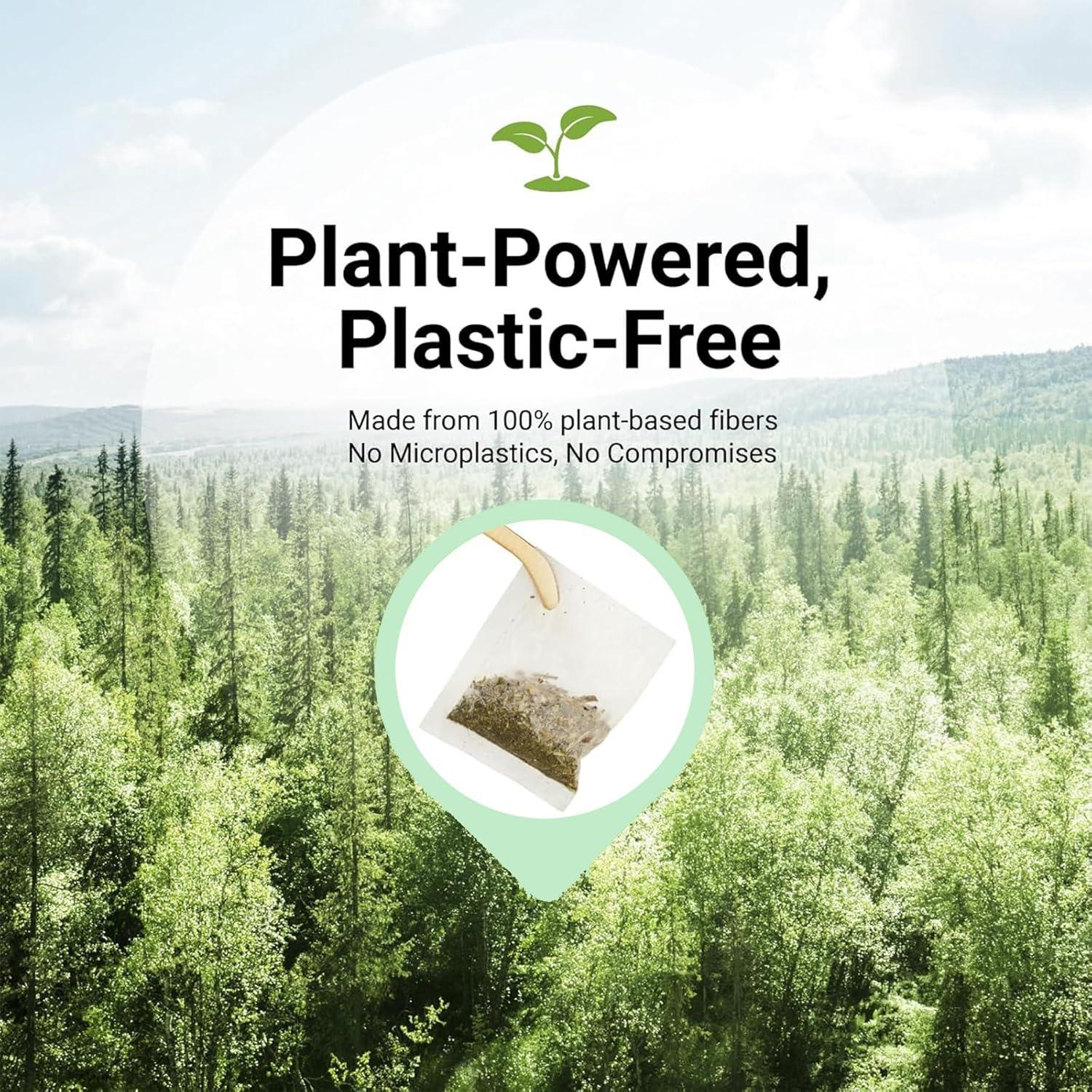 Té de Hoja de Mullein Orgánico TZTZBOM - 20 Bolsitas Detox