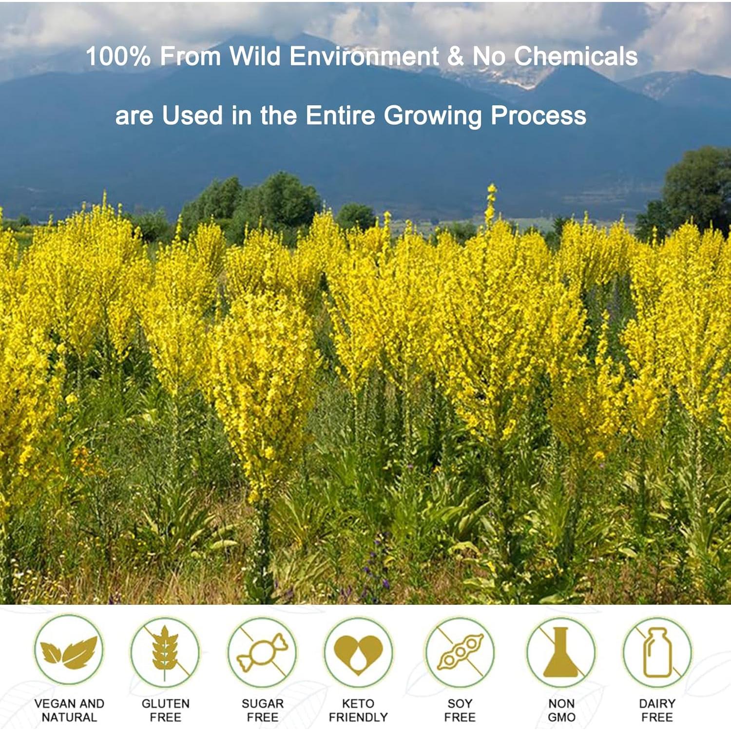 Bolsitas de Té de Mullein T'SMOMENT - 40 Unidades Sin Cafeína