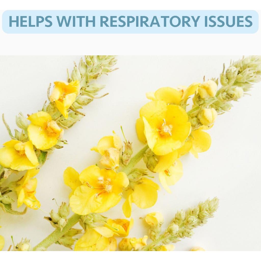 50 Bolsas de Té de Mullein VitalForest - Detox Pulmones 3g