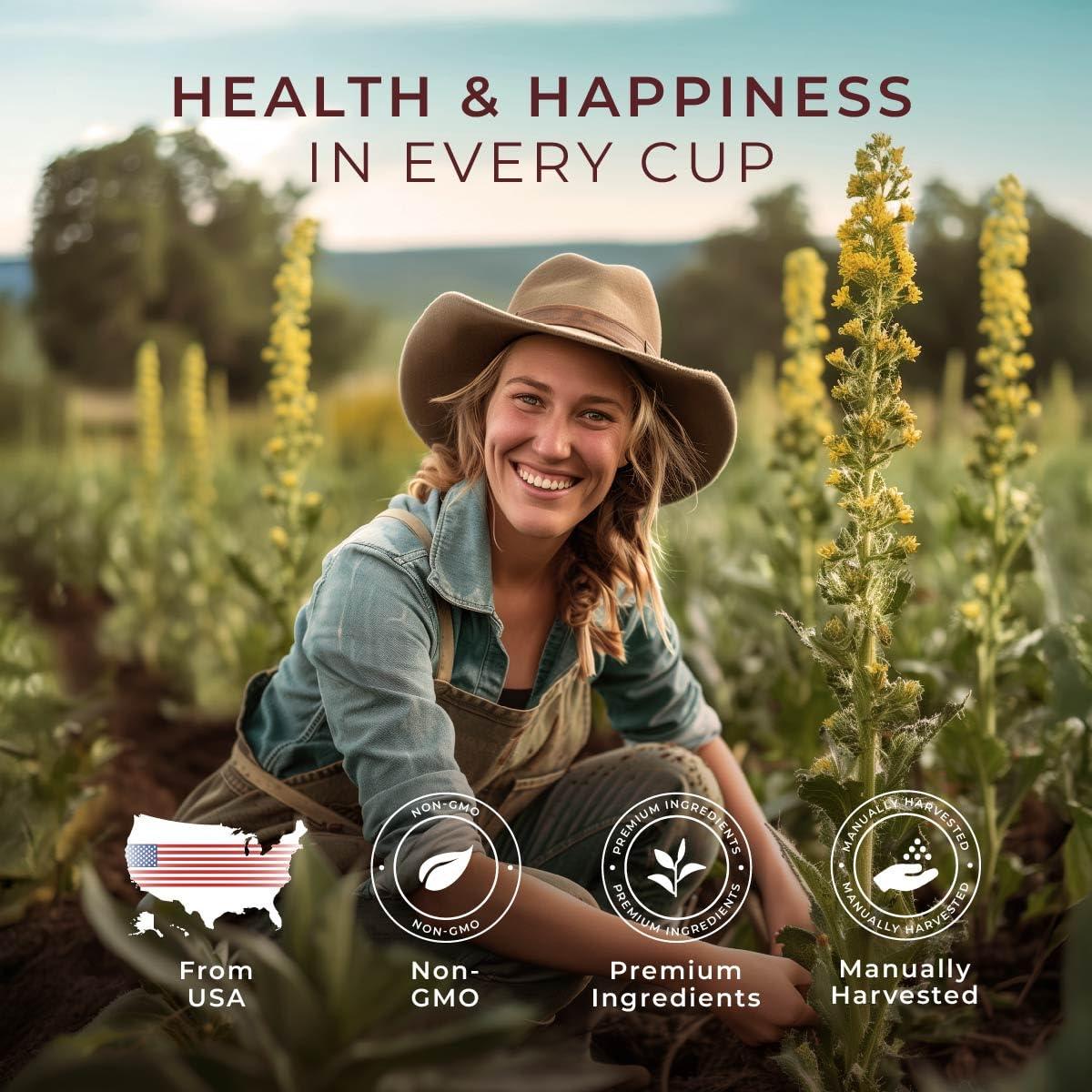 Té de Hoja de Mullein Gya Tea Co 50 Bolsitas Sin Cafeína