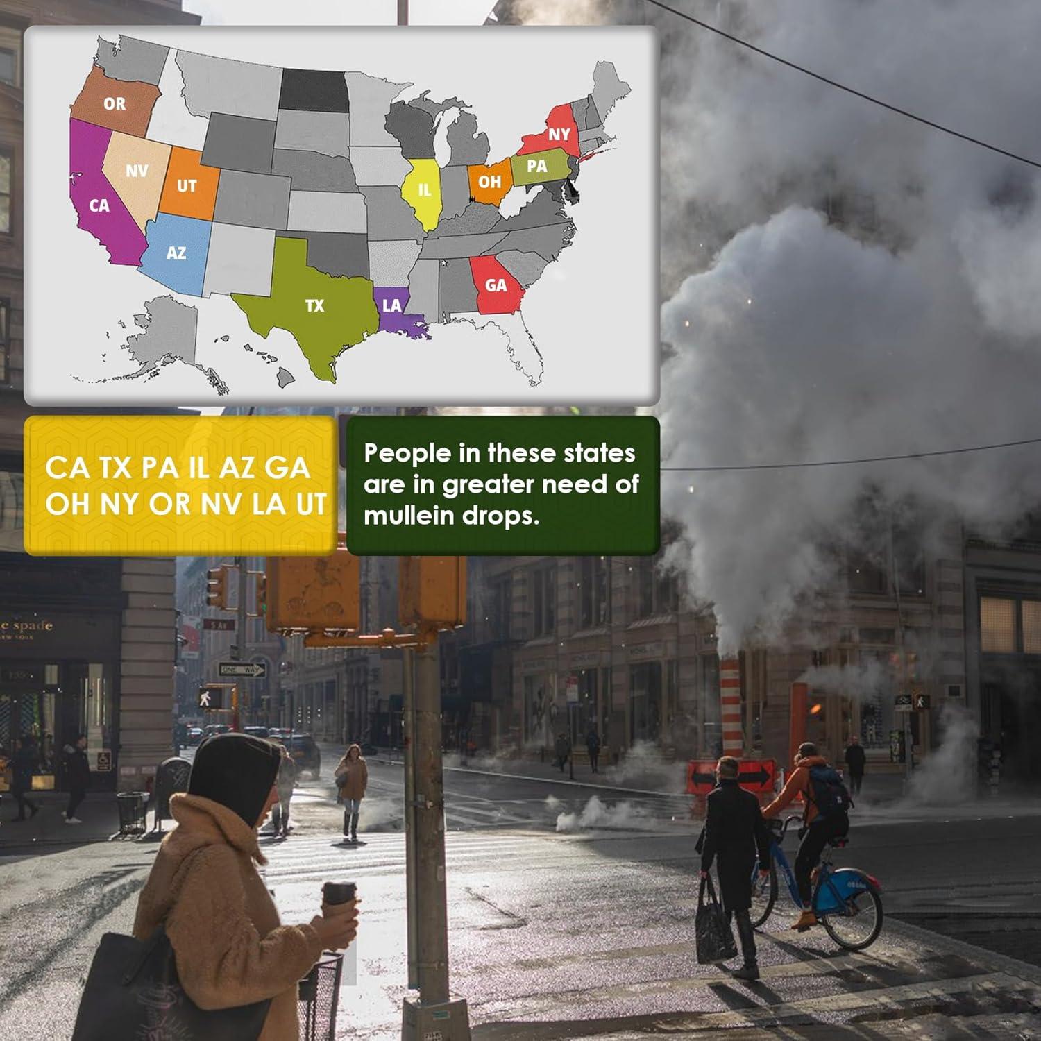 Gotas de Mullein LILICARE 60ml Suplemento Herbal Respiratorio