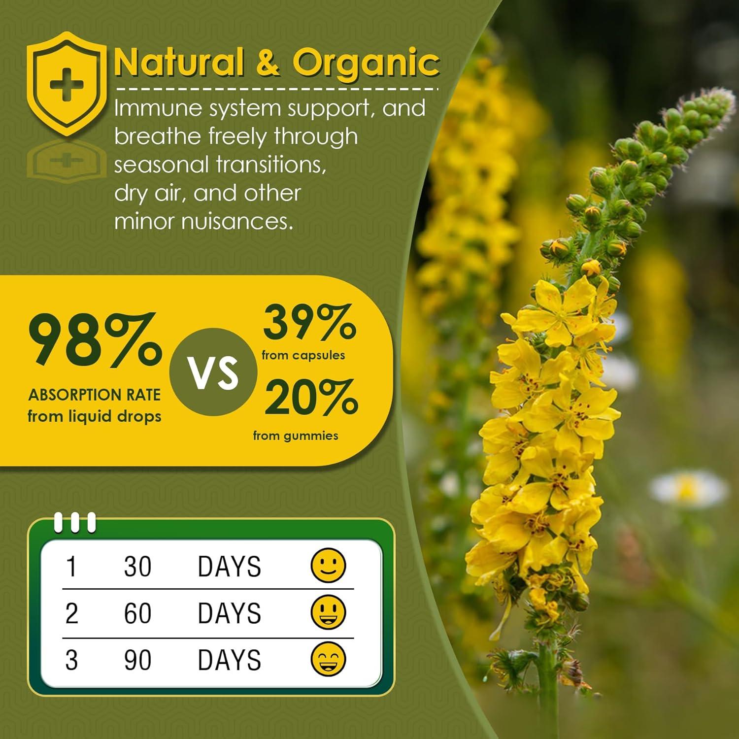 Gotas de Mullein LILICARE 60ml Suplemento Herbal Respiratorio