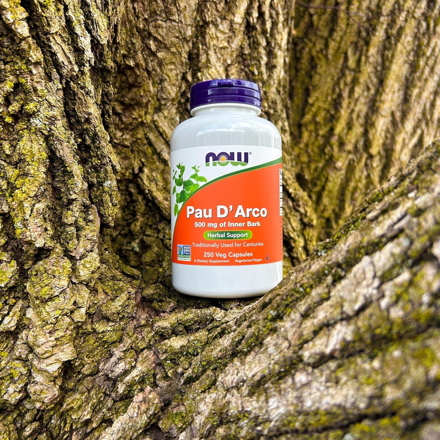 Suplemento Herbal Pau D'Arco NOW 500 mg 250 Cápsulas Veganas
