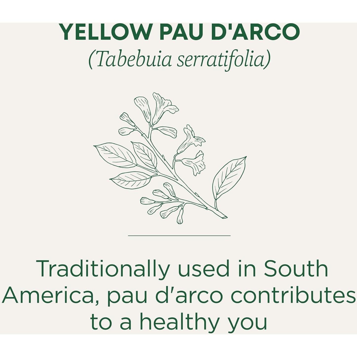 Té Herbal Pau d'Arco Amarillo Tradicionales Medicinales 16 Bolsitas