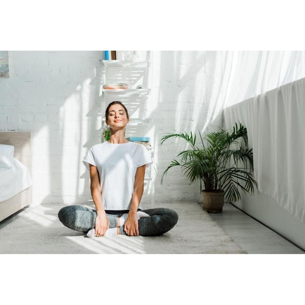 Polvo de hojas de sassafras AK 250 g - Puro y natural