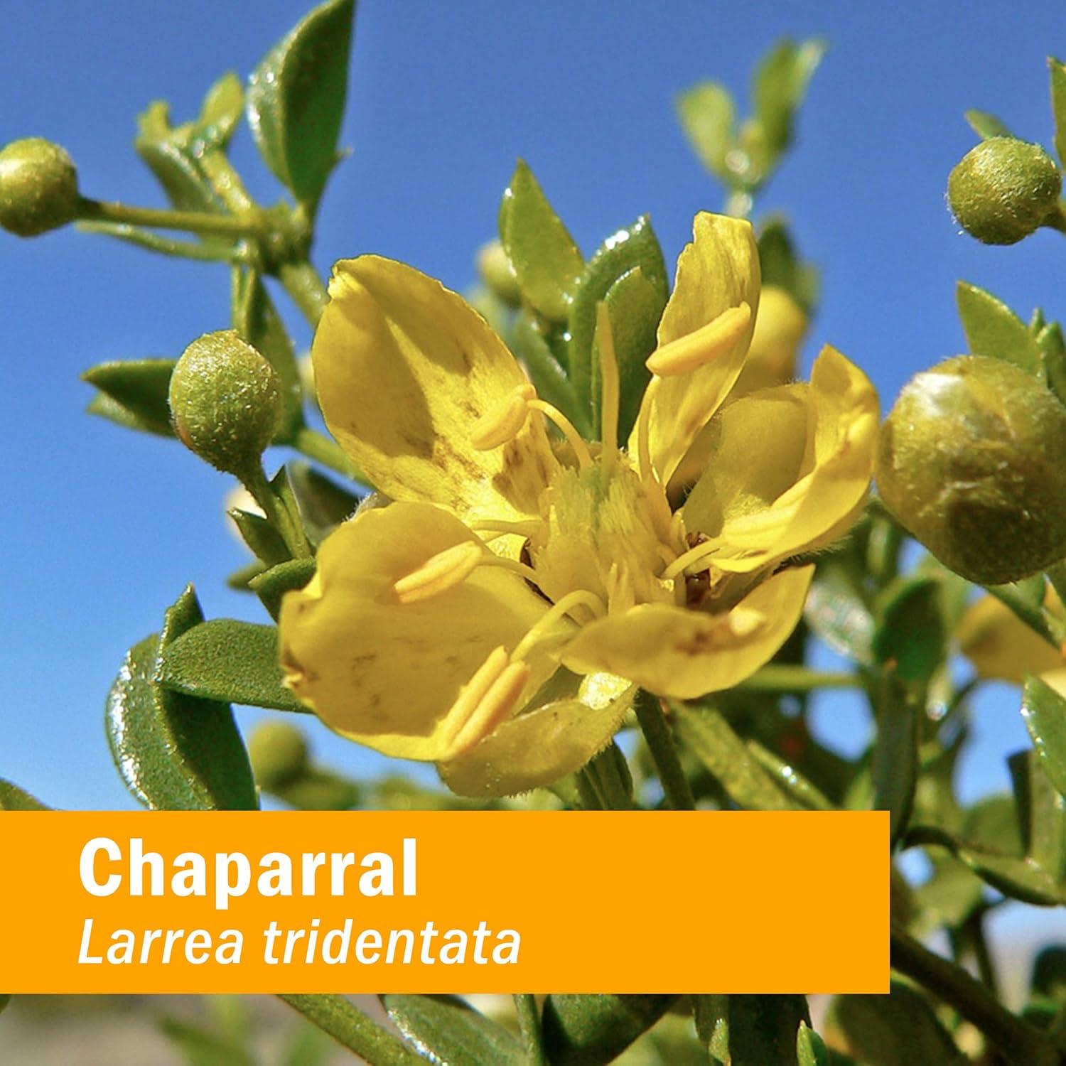 Extracto Líquido de Chaparral Herb Pharm 30 ml - Sin Gluten