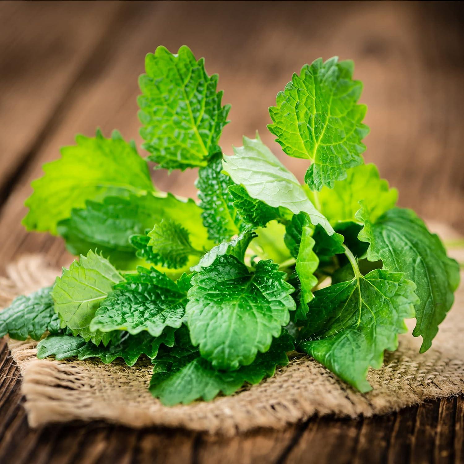 Hoja de Toronjil Orgánica Frontier Co-op 0.48kg - Té Seco